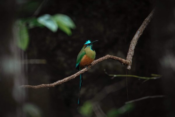 Is It Possible to Increase the Signal Range of a Keyless Entry Remote in a Nissan Qashqai?